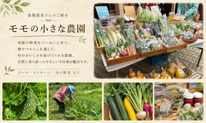モモの小さな農園