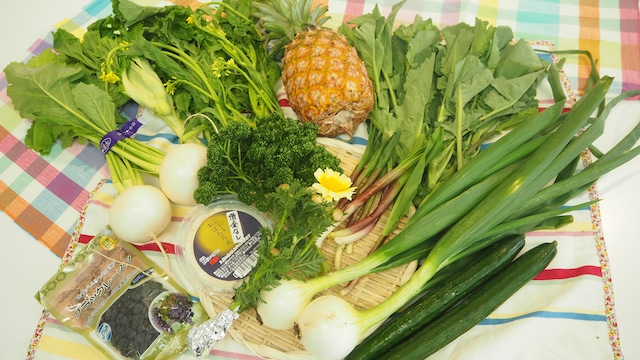 ベジバルーンセット5月（皐月）『清々しく　みずみずしい野菜たち』