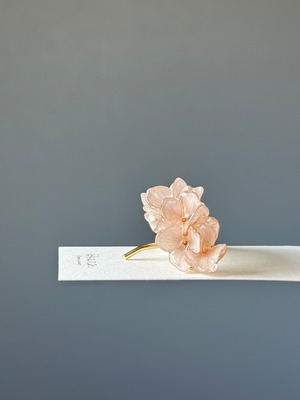 hydrangea ponyhook