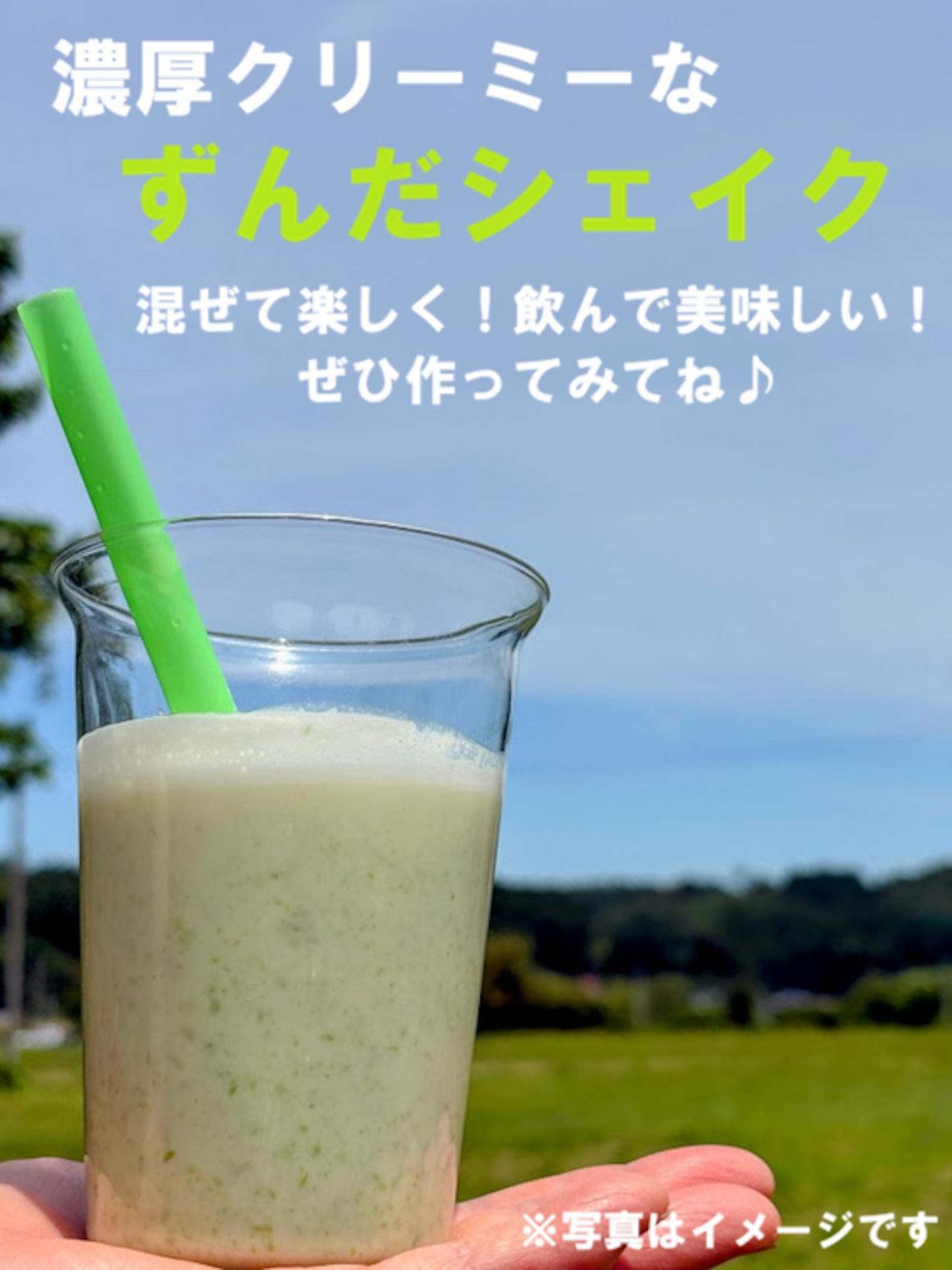 ずんだあん　500g
