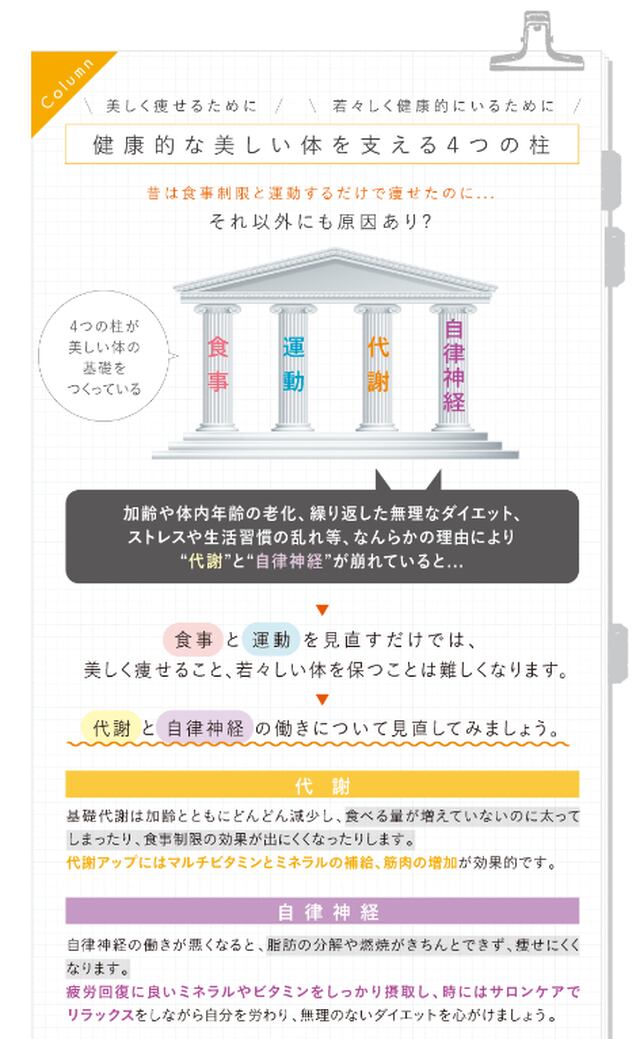 ☆セール30％OFF☆ 全商品オープニング価格 インサイドマルチヴィタ