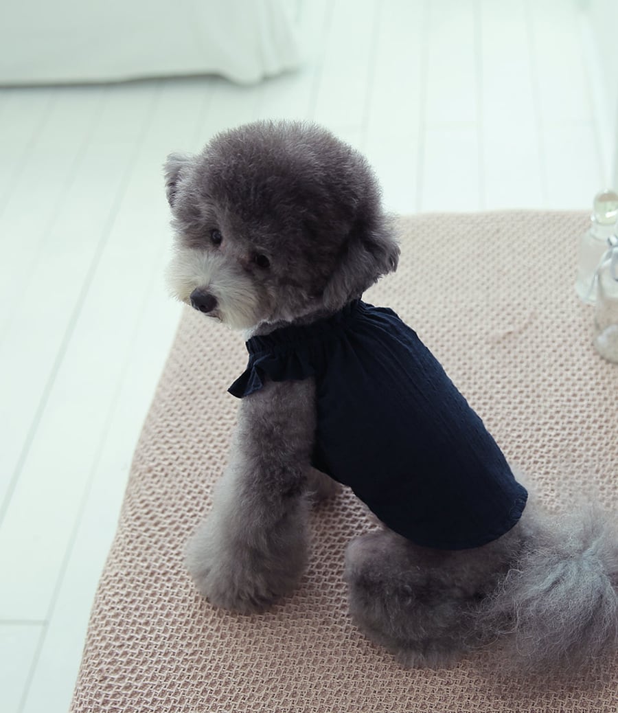 linen kelly sleeveless S ~ XL 2color / 犬服 春夏 涼しい ブラウス 無地 リンネン フリル トップス 袖なし 可愛い ドッグウェア シンプル 韓国 犬の服 top162