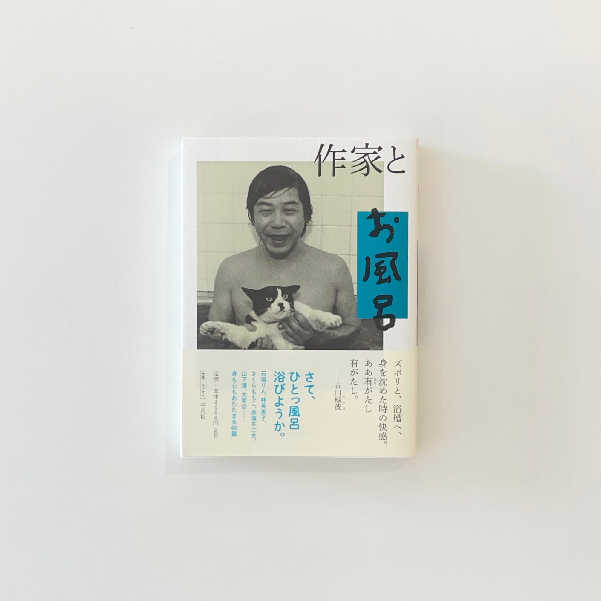 十六夜橋 新版｜石牟礼道子 | 本の栞