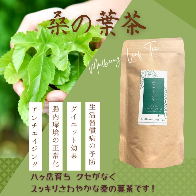 桑の葉茶　粉末　100g入