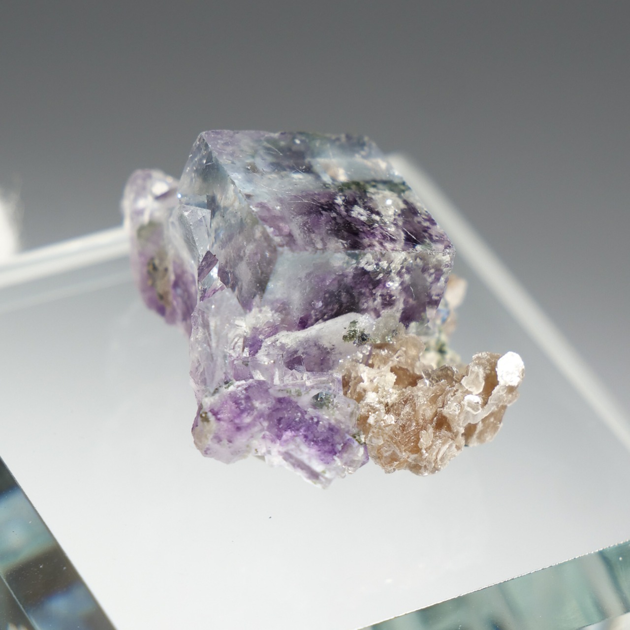 ヤオガンシャン産 フローライト 共生 / 原石 標本【E_1】