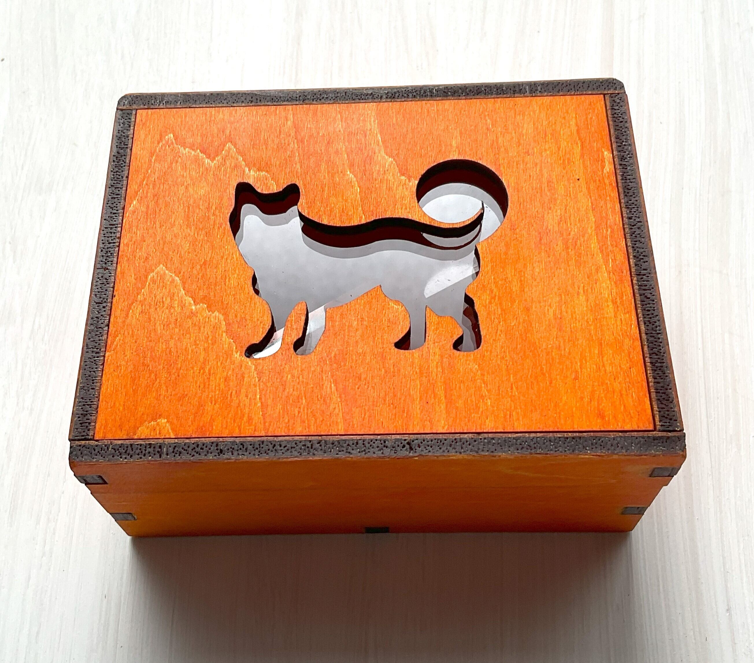 犬：木箱】baskervilleⅡ orange color 標本箱 アクセサリーケース