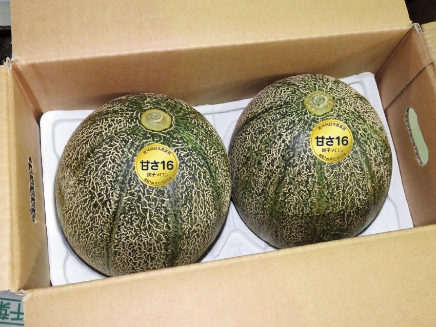 銚子メロン（アムスメロン）2玉 化粧箱入り 送料込み 贈答 贅沢