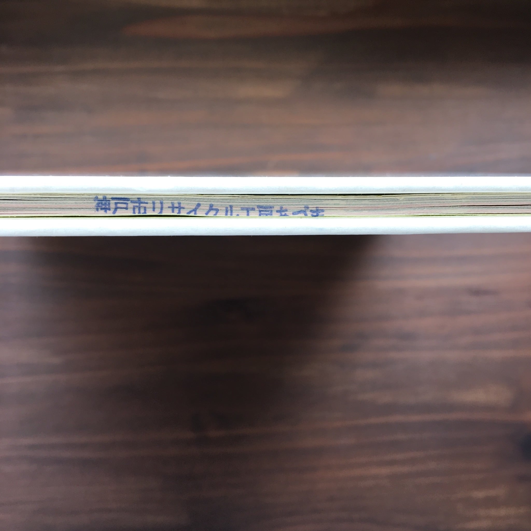 月うさぎ(奥田英二・絵/安藤和津・文)