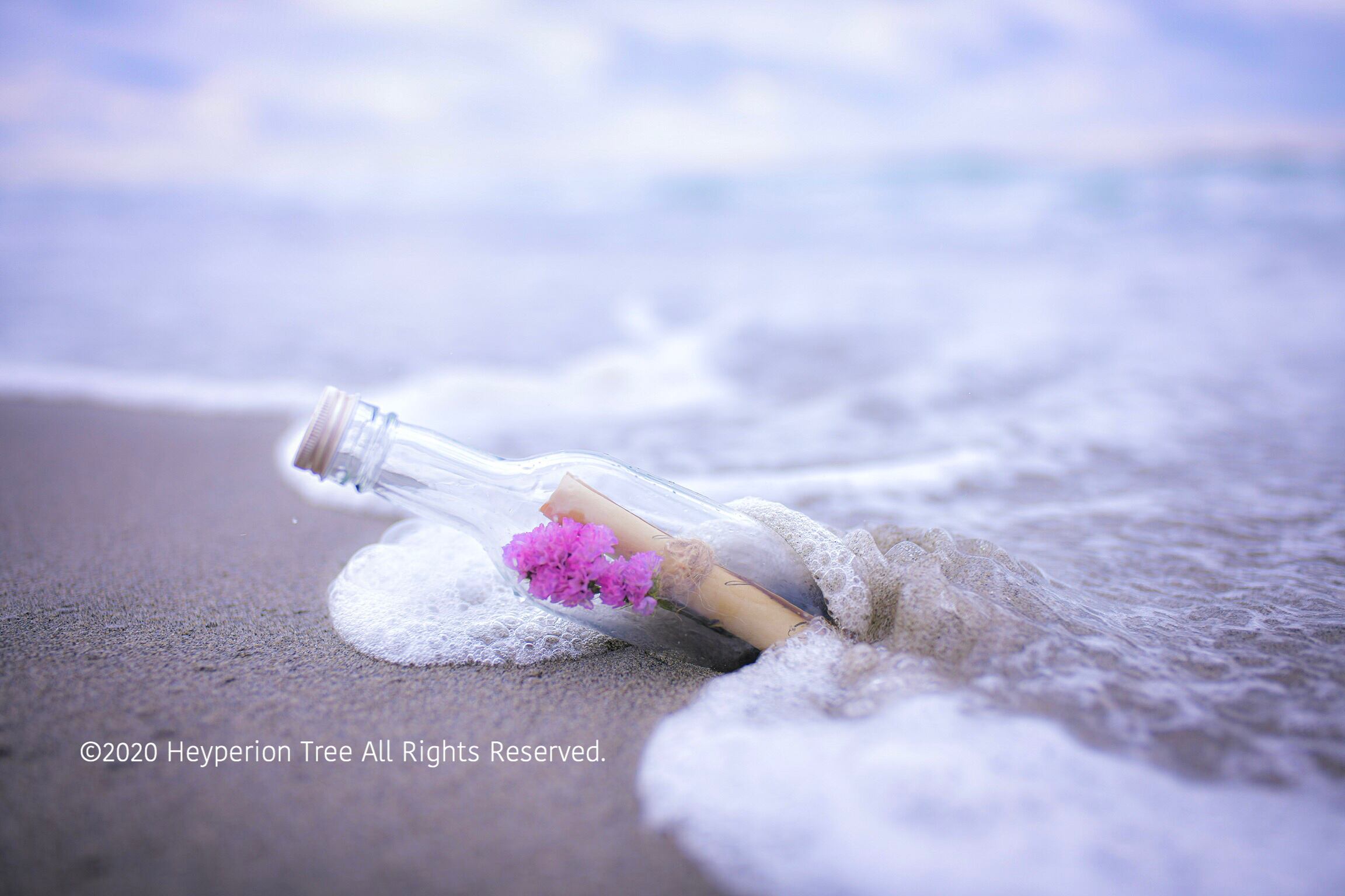 受注製作 メッセージボトル ボトルアート スターチス Hyperion Tree ﾊｲﾍﾟﾘｵﾝﾂﾘｰ