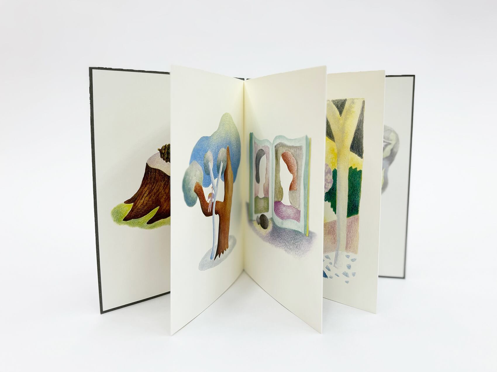 Lost Words, Found Tales （PINK / サイン本）/ Hisae Maeda | nidi