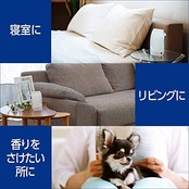 ファブリーズ  消臭剤 置き型 さわやかスカイシャワーの香り つけかえ用 130g × 6個 (2個セット×3)