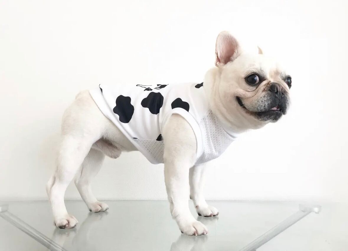 フロントメッシュタンクトップ＊ウシさん＊ | 犬服BUTTER