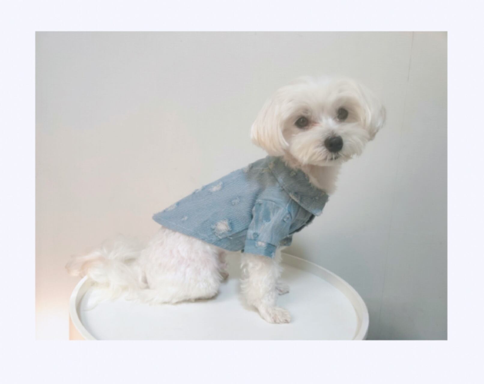 ダメージデニムシャツ