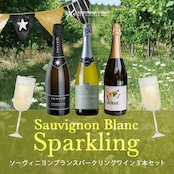 【10%OFF】ソーヴィニヨンブランスパークリングワイン3本セット