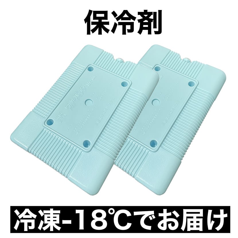 冷凍品 保冷剤 蓄冷剤  -15℃ 1000mL 2個 ハードタイプ