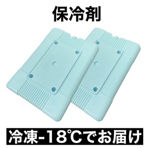 冷凍品 保冷剤 蓄冷剤  -15℃ 1000mL 2個 ハードタイプ