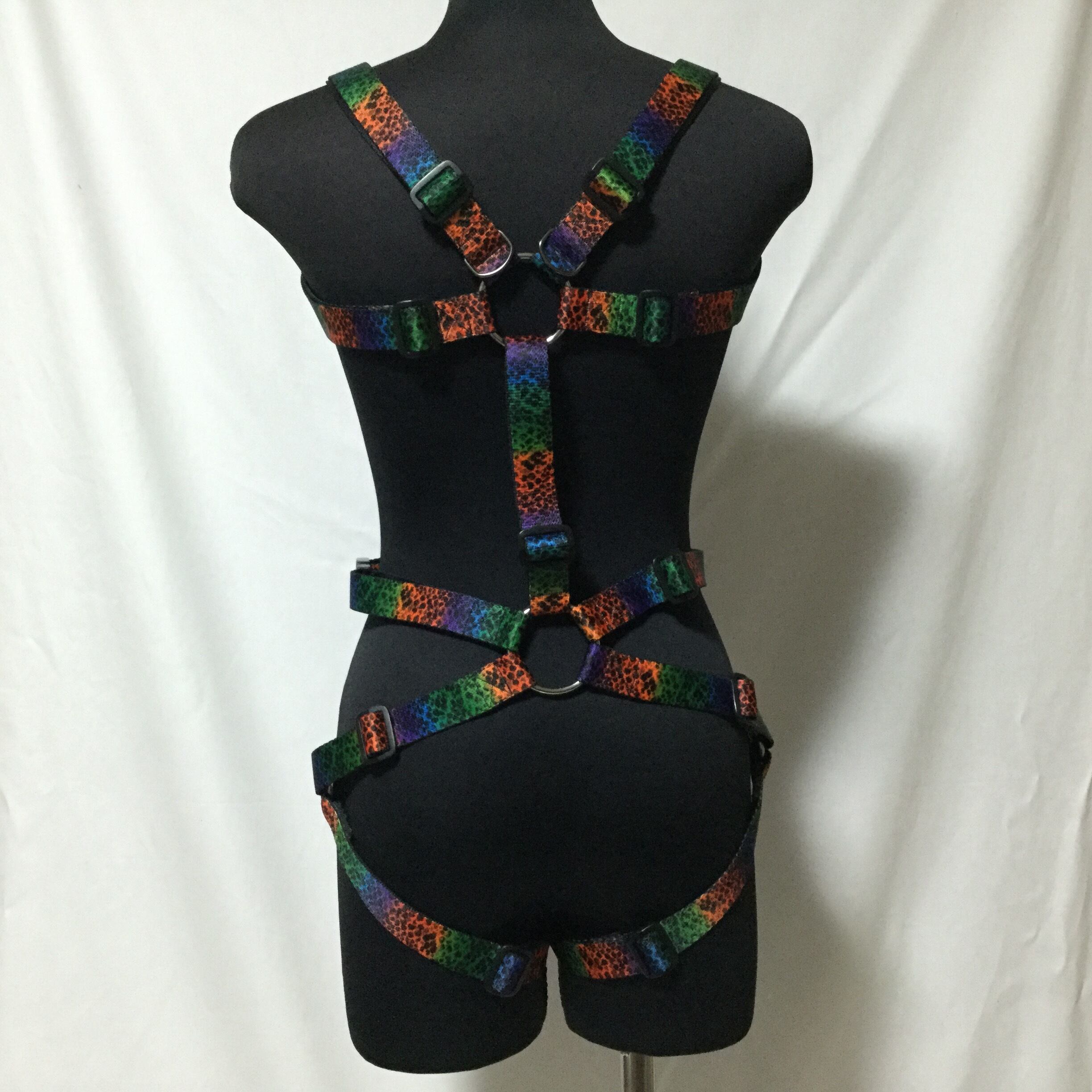 フルハーネス レインボースケール