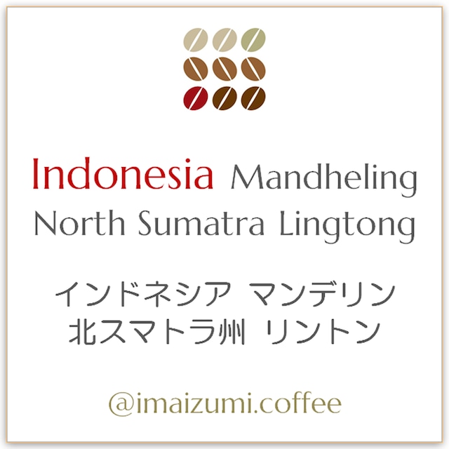 【送料込】インドネシア スマトラ島 北スマトラ州 リントン マンデリン - Indonesia North Sumatra Lingtong Mandheling - 300g(100g×3)