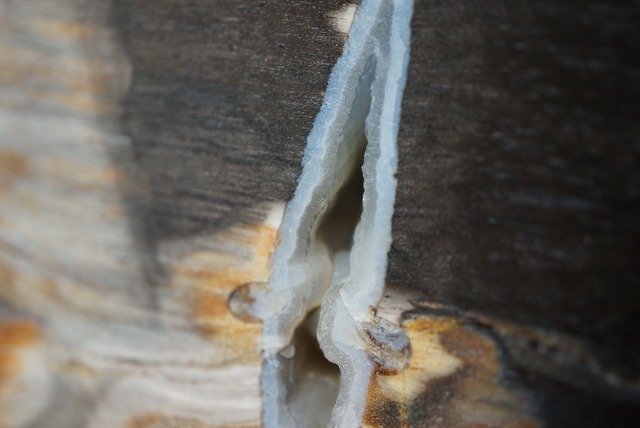 インドネシア産ペトリファイドウッド Petrified Wood 1177