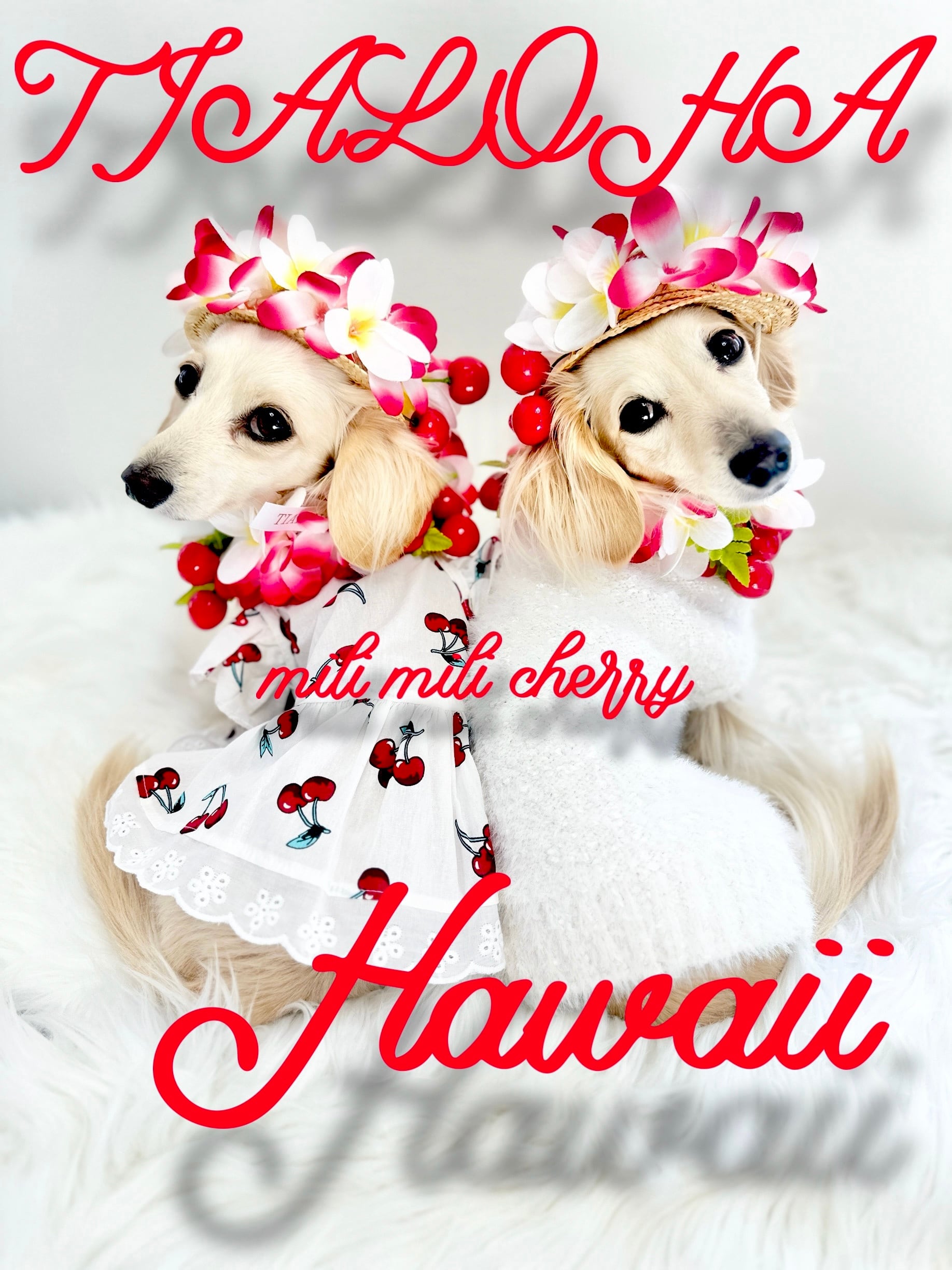 ミリミリチェリー