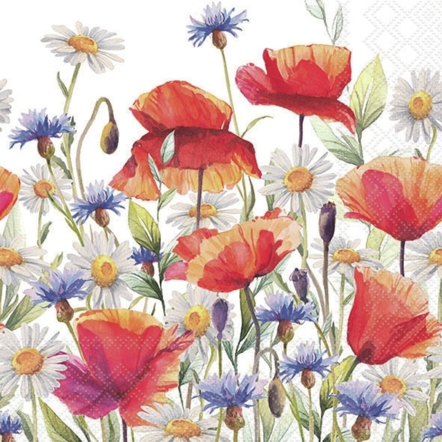 2024春夏【Ambiente】バラ売り2枚 ランチサイズ ペーパーナプキン Poppies and cornflowers ホワイト