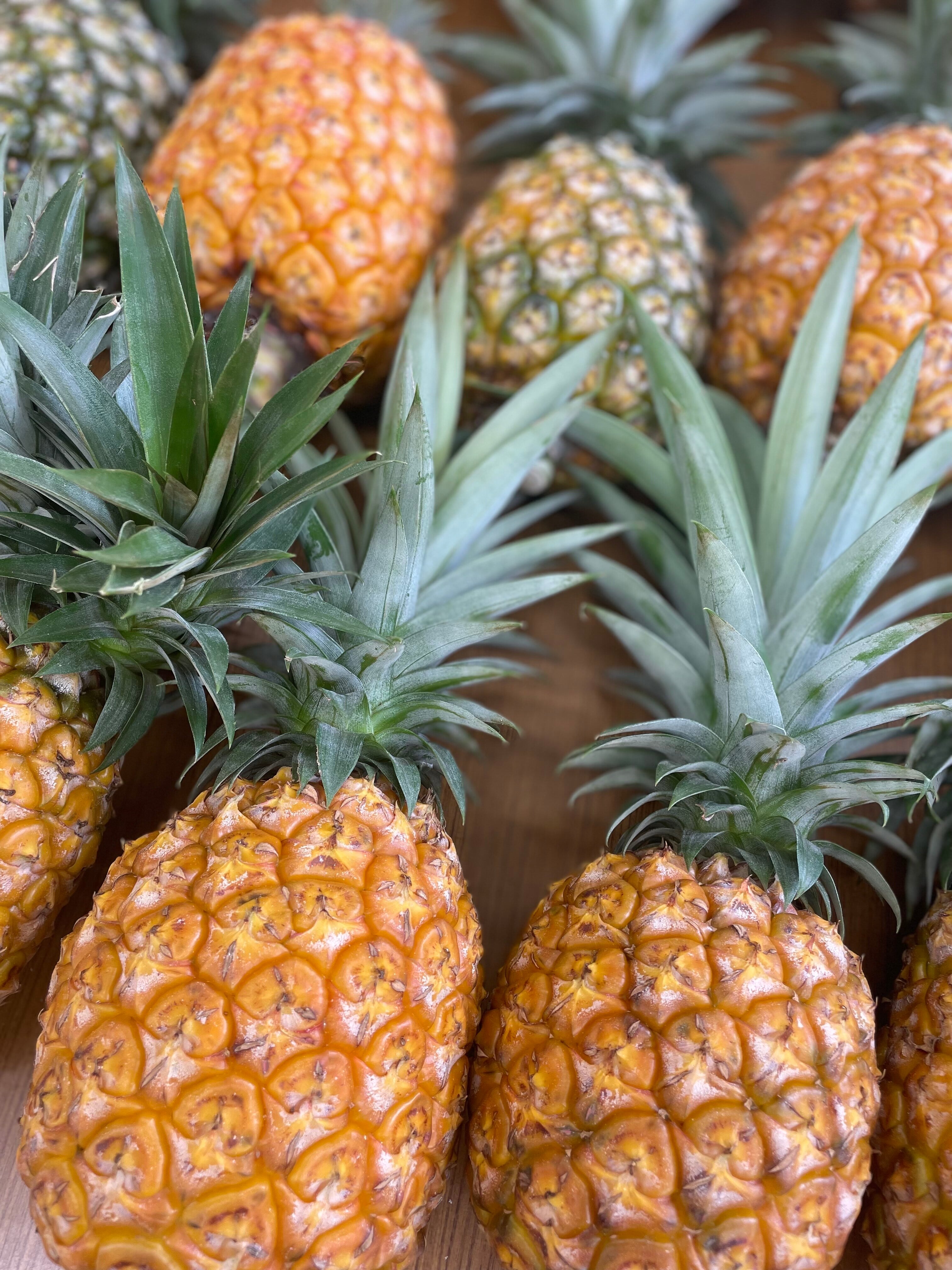 沖縄県産　パイナップル　ゴールドバレル１玉入り