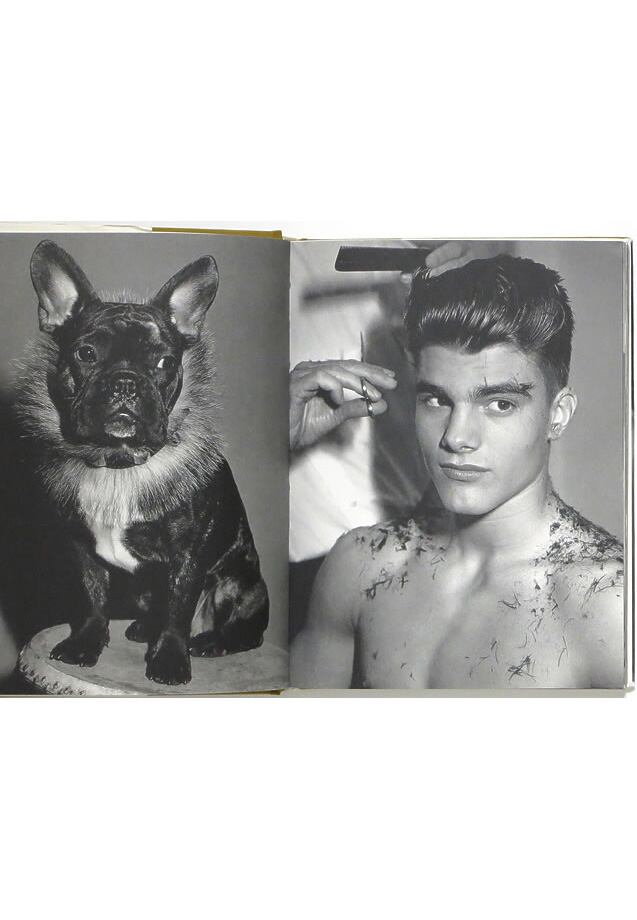 ブルース・ウェーバー　写真集　THE CHOP SUEY CLUB Bruce Weber: The Chop Suey Club ブルース・ウェーバー - 古本買取