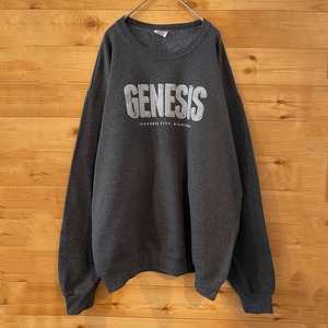 【JERZEES】GENESIS ロゴ プリント スウェット トレーナー L US古着