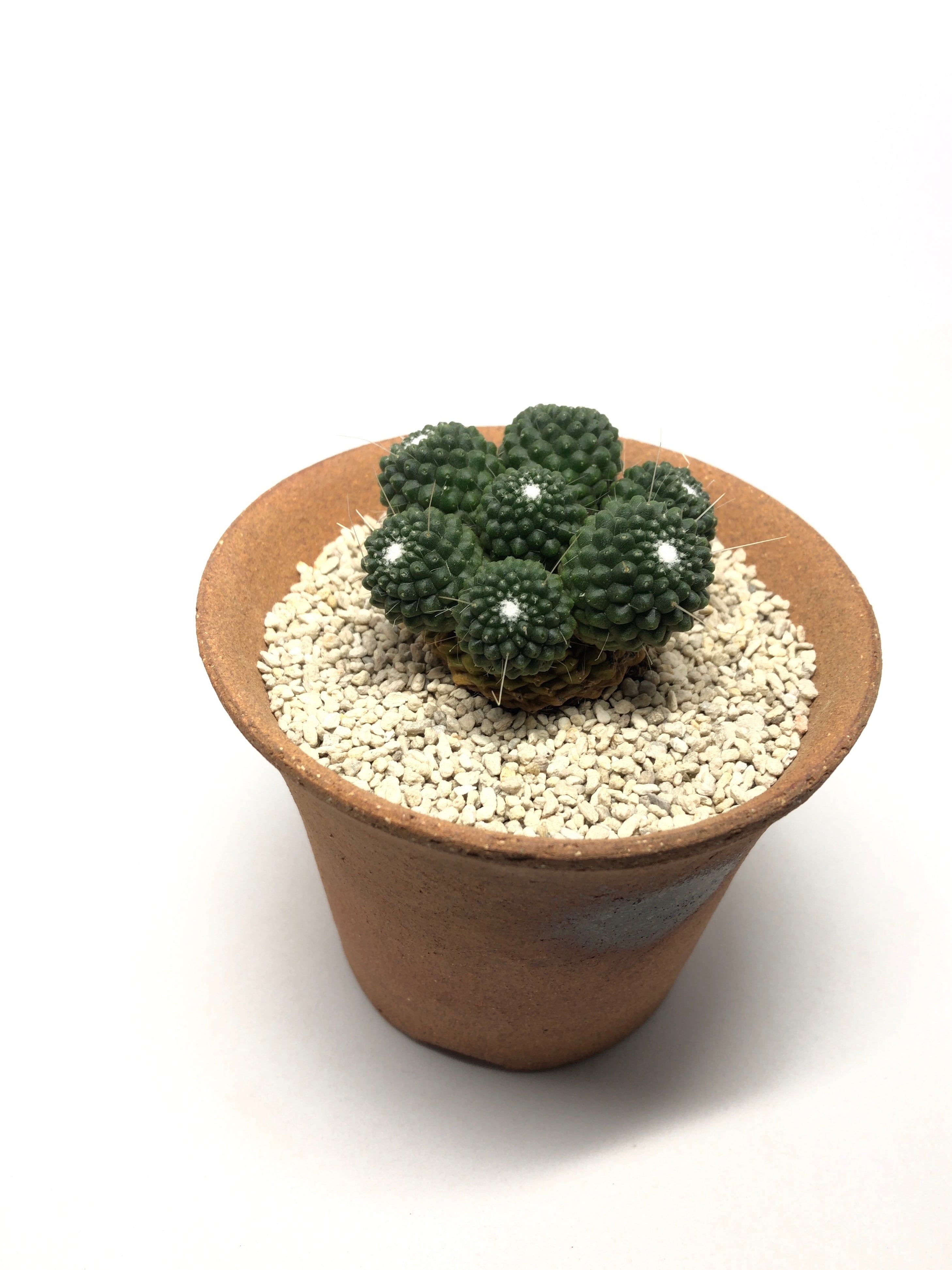 cfee075d792f384adabbe372b5deb4