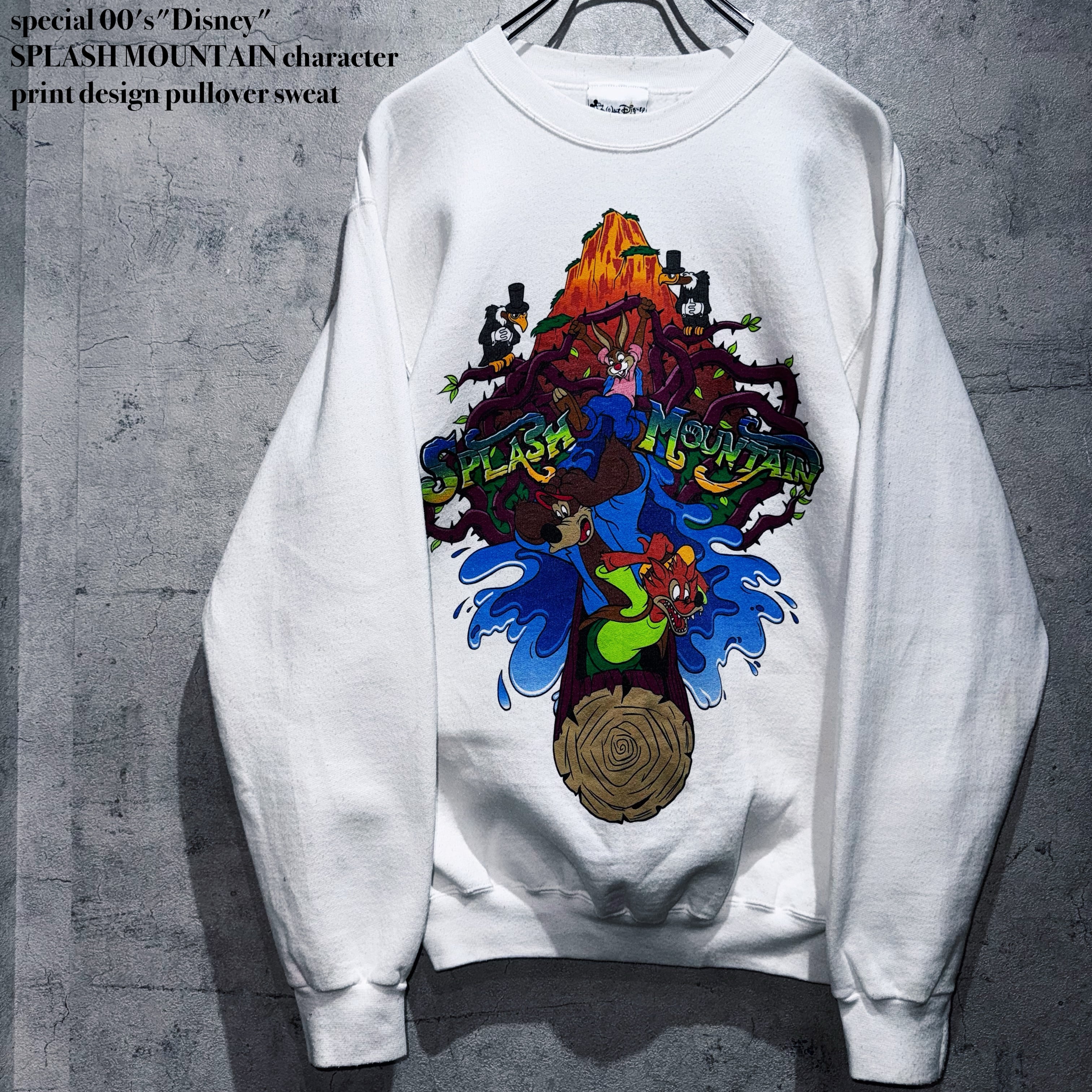 special 00's"Disney"SPLASH MOUNTAIN character print design pullover sweat