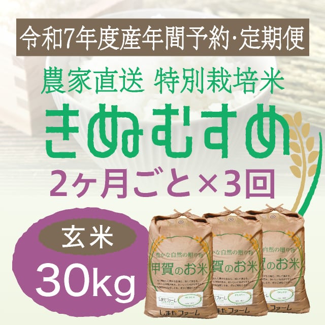 年間予約・定期便〉きぬむすめ 農家直売・特別栽培米 玄米30kg 3ヶ月