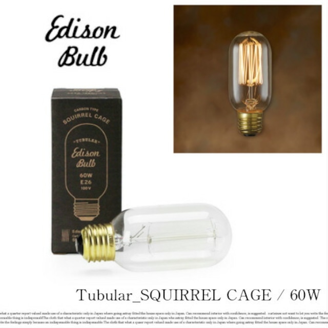 Edison Bulb “Tubular-SQUIRREL CAGE60W”/エジソンバルブ "チューブラースクウォーレルケージ60W"