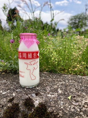 ◎【送料無料】Yatsuo MILK (牛乳)10本セット　富山八尾のおいしいビン牛乳