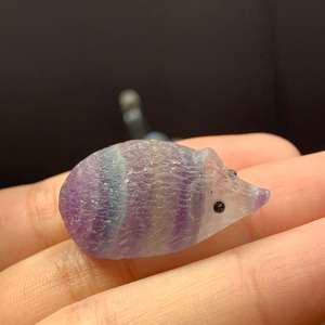 75お鼻が可愛いフローライトハリネズミさん