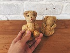 ~1950's Vintage twins honey bear 1