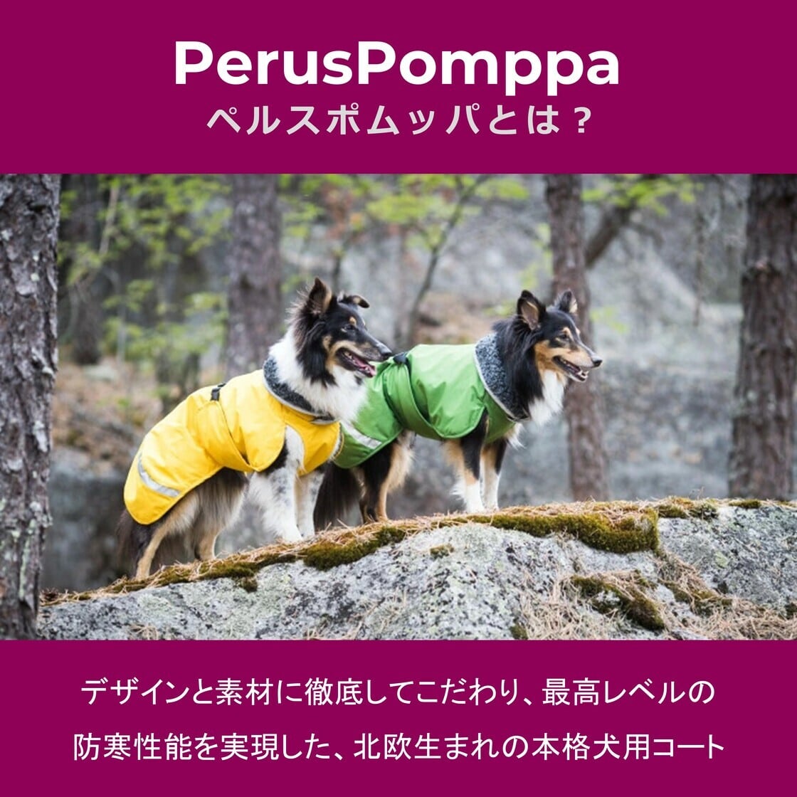 フィンランドのドッグブランド【Pomppa】【ポムッパ】・ドッグコート