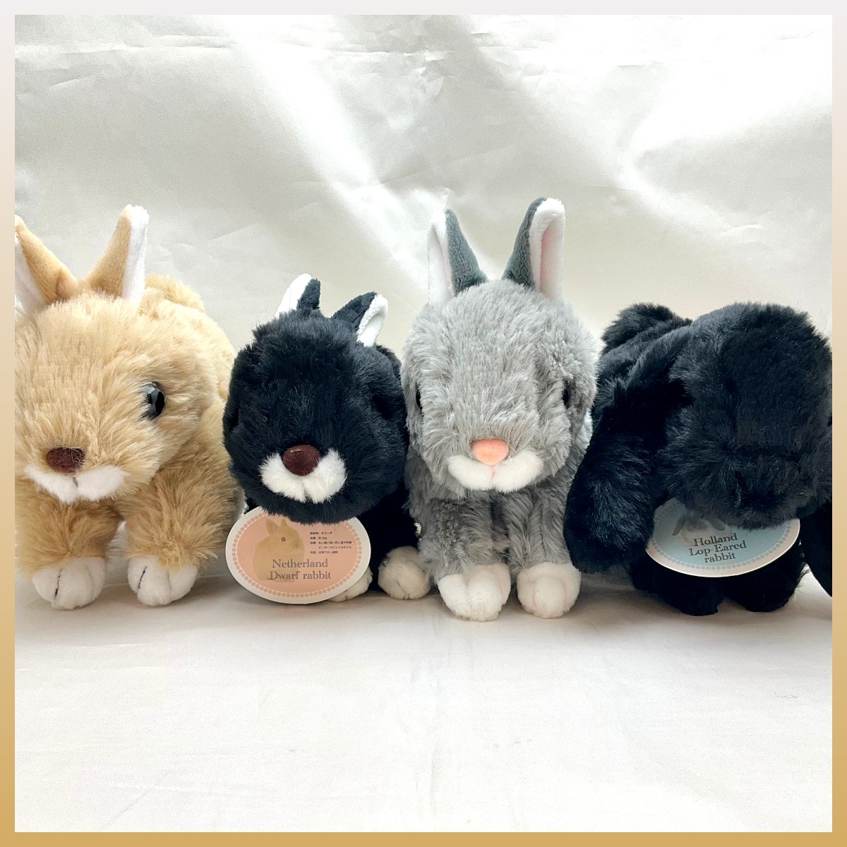 うさぎのマロン たれ耳＆たち耳 ぬいぐるみ | うさぎセレクトショップ森音