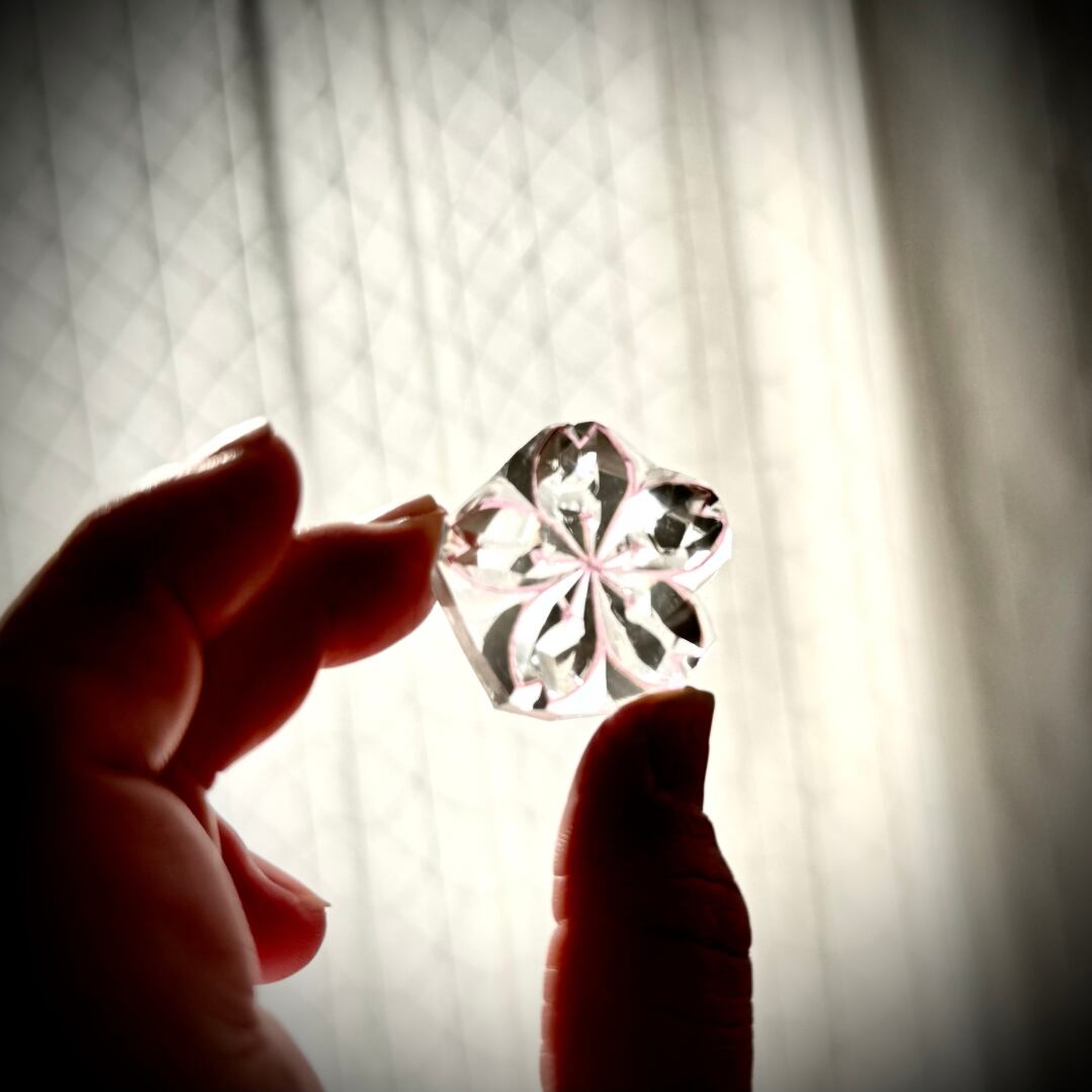 はんこ ハンコ かわいい 桜 さくら サクラ 組み合わせ 透明 春 花咲く クリア アクリル 光 スタンプ 離弁花