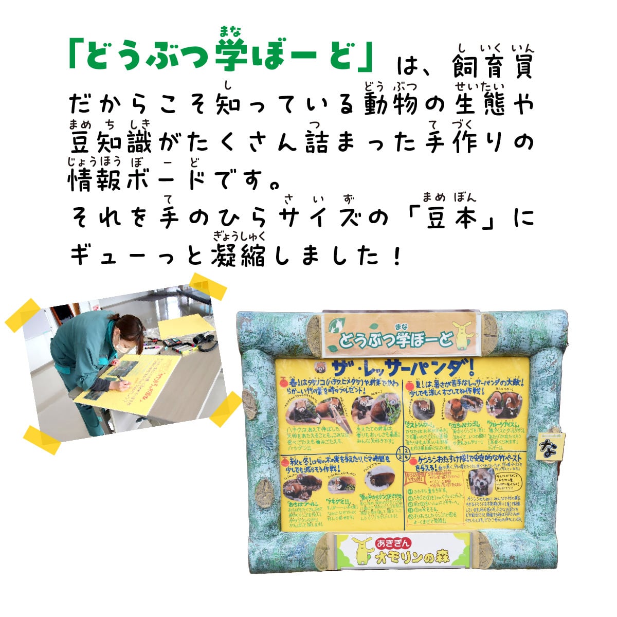 手のひら散歩 庭園編 手のひら大森山動物園①～レッサーパンダ編～ | A-mono Online