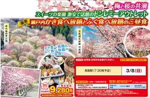 2020年3月鳥取発,梅と河津桜のダブルお花見と瀬戸内のカキとふぐ食べ放題のご昼食日帰りバスツアー9280円