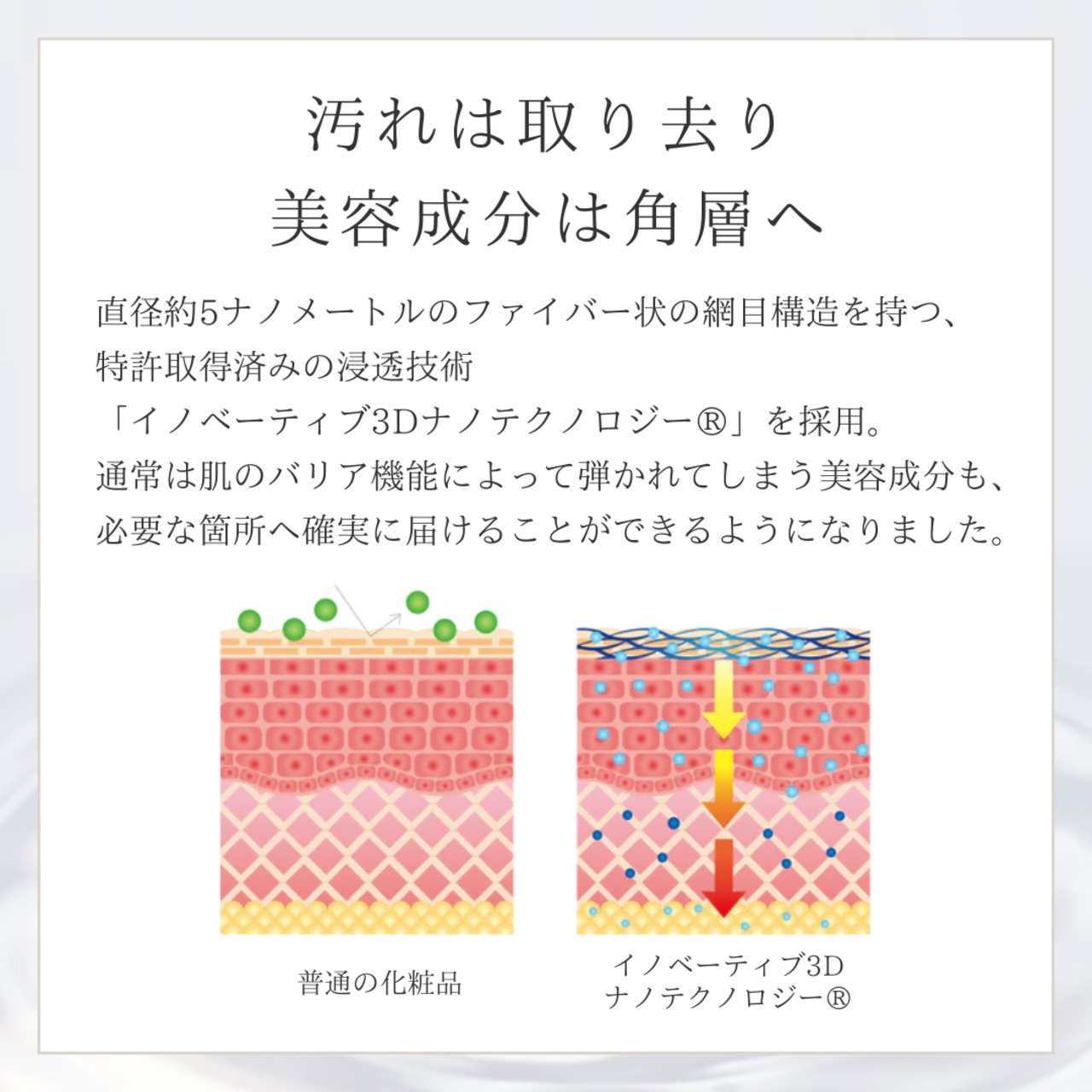 ステム リペア  クレンジング