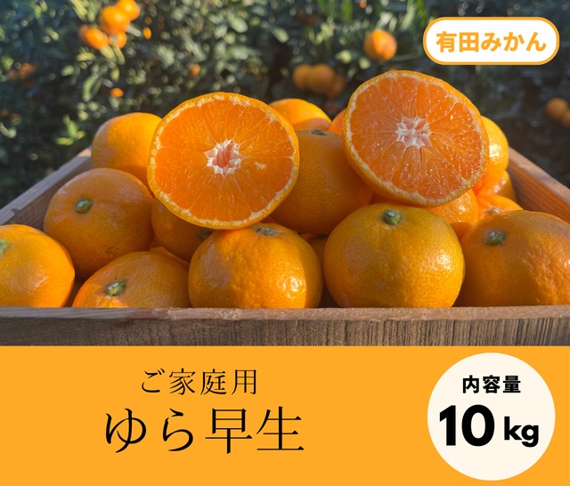 【ご家庭用】ゆら早生・10kg