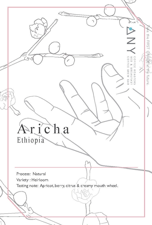 [100g] Aricha, Ethiopia  / アリチャ、エチオピア