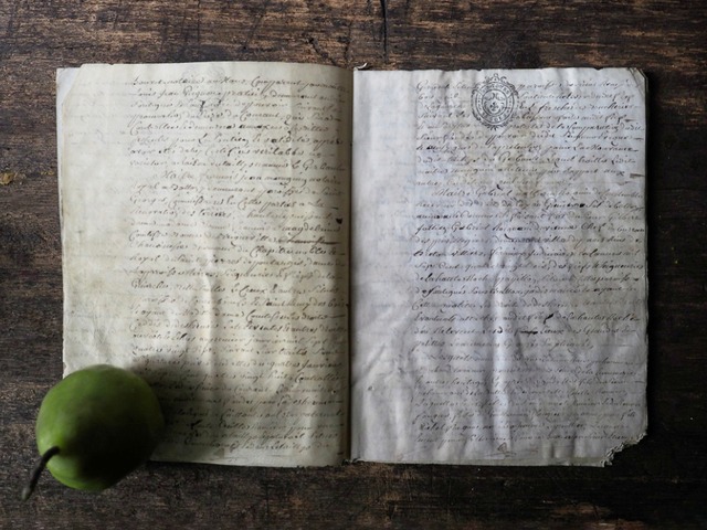 羊皮紙の古文書 Ⅲ