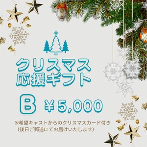 クリスマス応援ギフトB