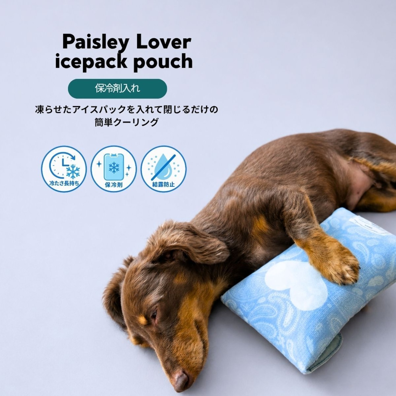 【puppygallery公式】Paisley Lover icepack pouch
