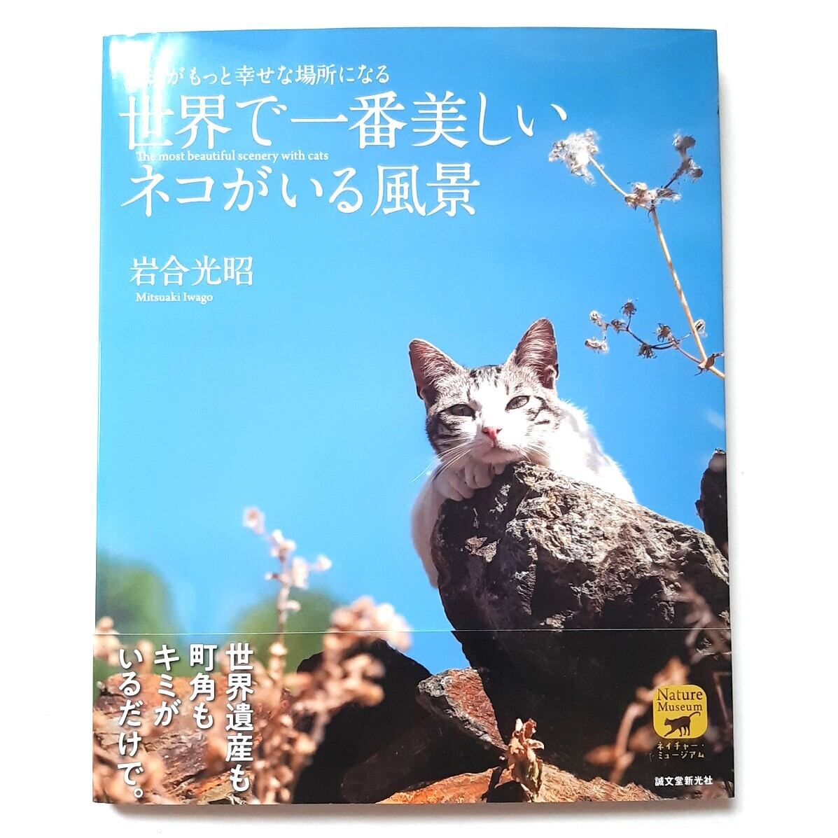 岩合光昭 | ねこのみち