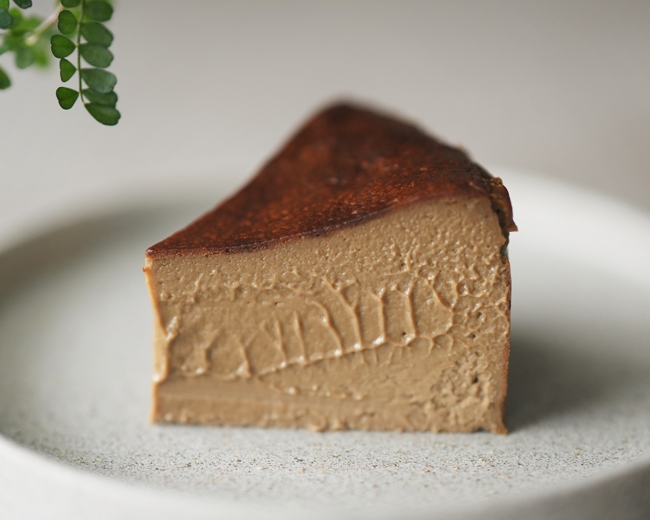 ほうじ茶チーズケーキ