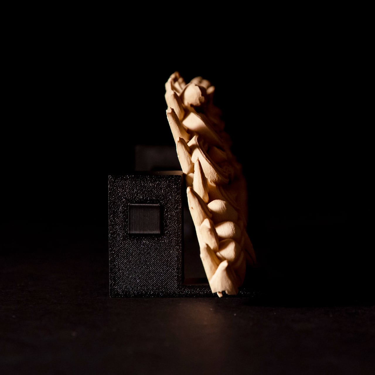 獅噛 大 | RIJINDA