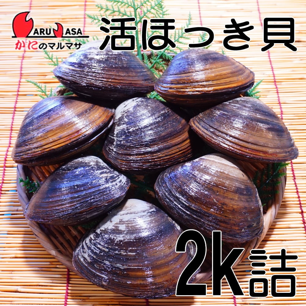 北海道産 活ホッキ貝 殻付き 2kg詰 セット 活き 活貝 お取り寄せ